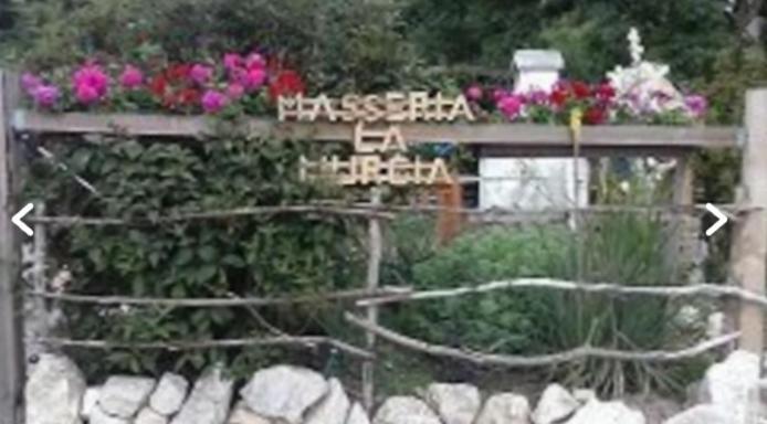 Wildcamp Resort Masseria La Murgia Unterkunft In Einem Wohnwagen Rimbach  Exteriér fotografie